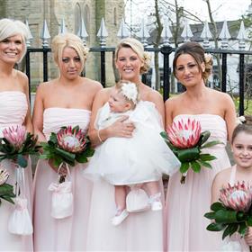 fwthumb_DSC1601 resized.jpg